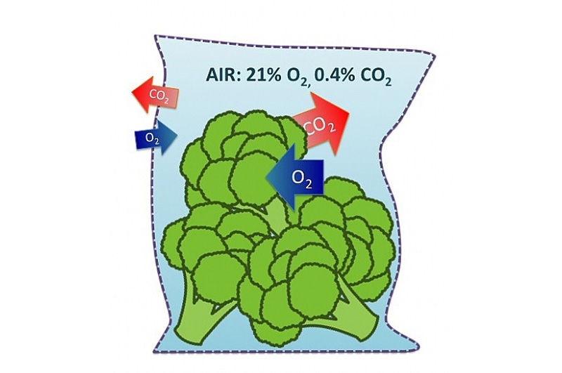 氣調果蔬保鮮打孔 激光打孔??氣調果蔬保鮮包裝運用方案(圖1)